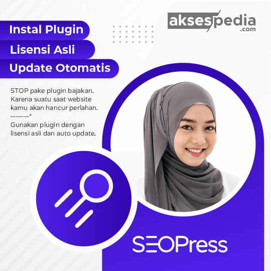 Plugin